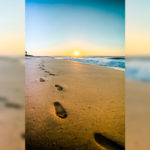 跟從主,原來是拯救