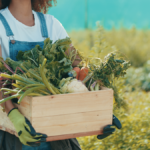 從撒種到收割!趁着還有今天!