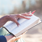 我重新讀〈約伯記〉的和解之路